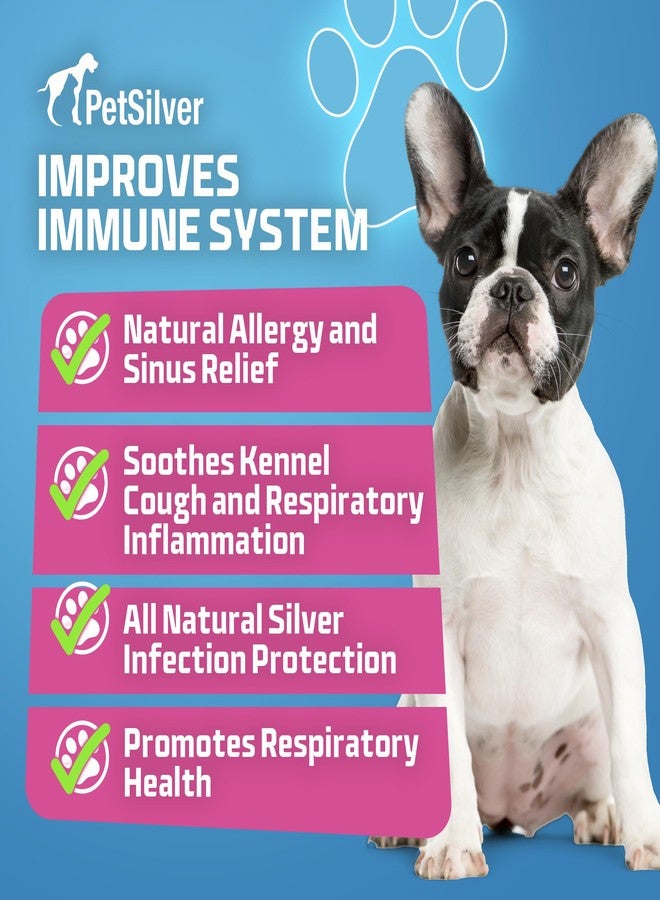 PetSilver Immune Support, Natural Nebulizer Solution, Promotes Respiratory Health in Cats & Dogs, Allergies, Sinus & Cough Treatment, Easy to Use, Patented Chelated Silver, Made in The USA, 16 fl oz - Image 4